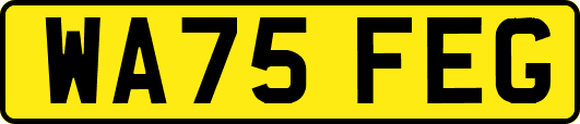 WA75FEG
