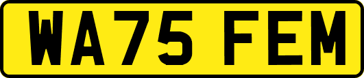 WA75FEM