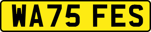 WA75FES