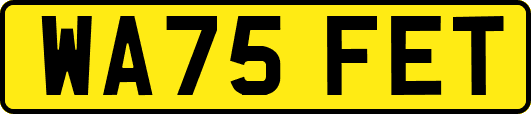 WA75FET