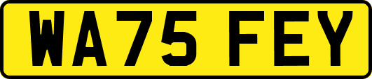 WA75FEY