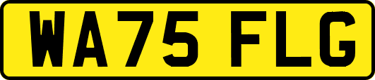 WA75FLG