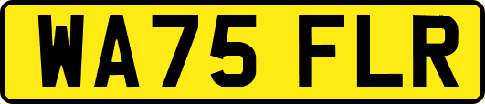 WA75FLR