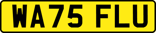 WA75FLU