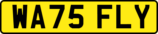 WA75FLY