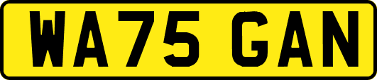 WA75GAN
