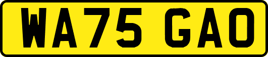 WA75GAO