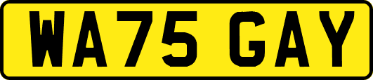 WA75GAY