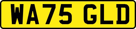WA75GLD