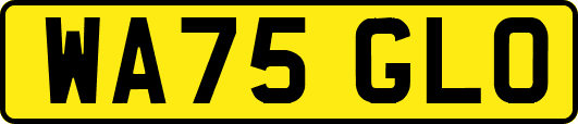 WA75GLO