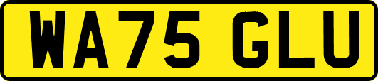 WA75GLU