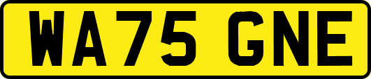 WA75GNE