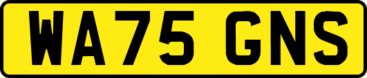 WA75GNS