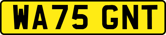 WA75GNT