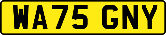 WA75GNY