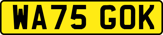 WA75GOK
