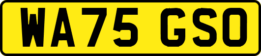 WA75GSO