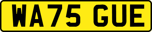 WA75GUE