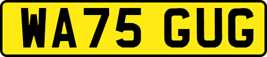 WA75GUG
