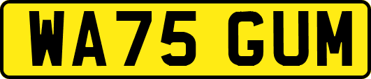 WA75GUM