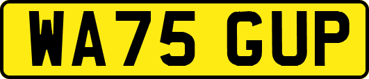 WA75GUP