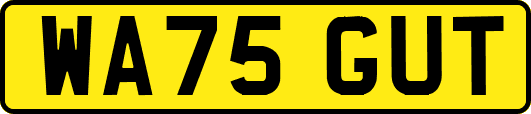 WA75GUT