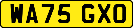 WA75GXO