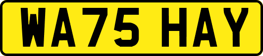WA75HAY