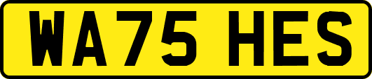 WA75HES