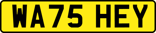 WA75HEY