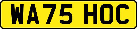 WA75HOC