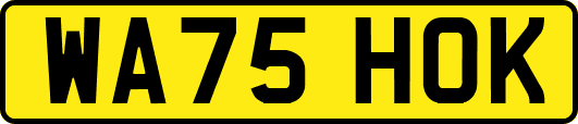 WA75HOK