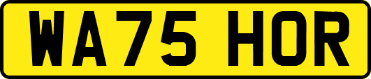 WA75HOR