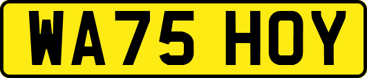 WA75HOY