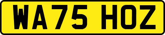 WA75HOZ