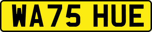 WA75HUE