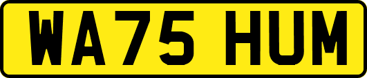 WA75HUM
