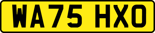 WA75HXO