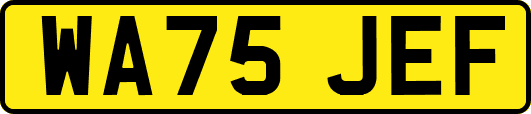 WA75JEF