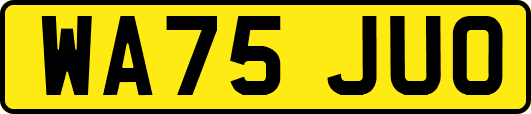 WA75JUO