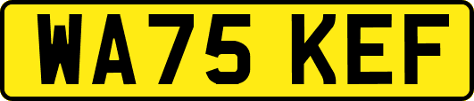 WA75KEF