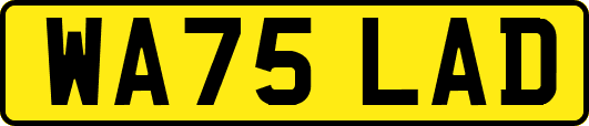 WA75LAD