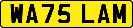WA75LAM