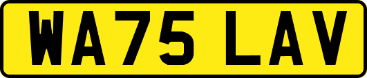 WA75LAV