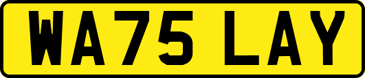 WA75LAY