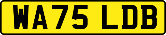 WA75LDB