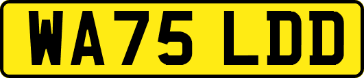 WA75LDD