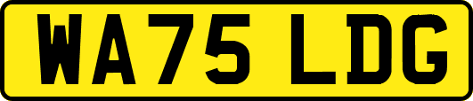 WA75LDG