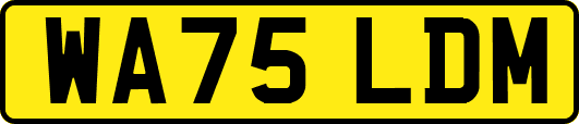 WA75LDM