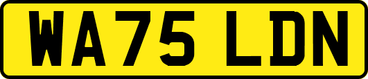 WA75LDN